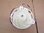 MOTOR BLDC FAN  ARES2120RA 1870±4% 12V MA