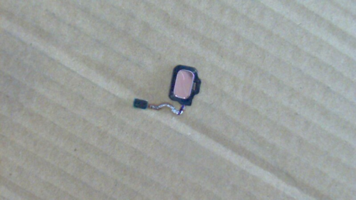 Samsung Galaxy S8 SM-G950F / S8+ SM-G955F Fingerprint Home Key Pink