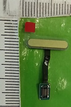 Samsung Galaxy S10e SM-G970F Power Key Flex Yellow