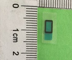 Samsung Galaxy Fold SM-F900F Sensor Sponge Tape