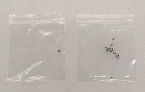 Samsung Galaxy Z Fold 4 SM-F936B SUB Screw Kit